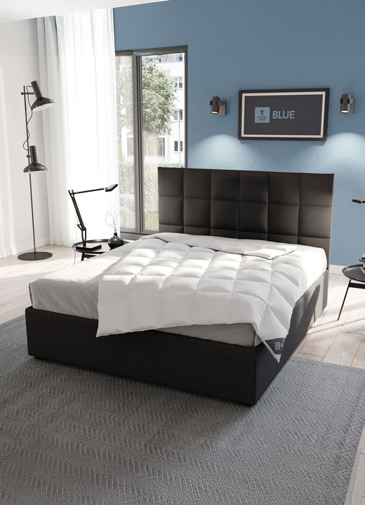 Bettwaren - In Deutschland hergestelltes Daunenprogramm aus dem Hause Spessarttraum Ansicht 10 Bettwaren - In Deutschland hergestelltes Daunenprogramm aus dem Hause Spessarttraum, in Größe 103 (135/200 cm) bis 121 (40/ 80 cm), in Farbe , in Ausführung Blue Kissen Ansicht 10