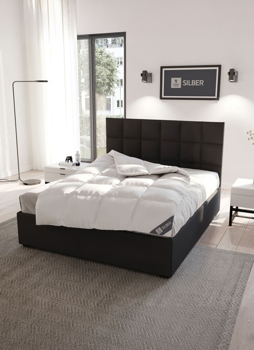 Bettwaren - In Deutschland hergestelltes Daunenprogramm aus dem Hause Spessarttraum Ansicht 24 Bettwaren - In Deutschland hergestelltes Daunenprogramm aus dem Hause Spessarttraum, in Größe 103 (135/200 cm) bis 121 (40/ 80 cm), in Farbe , in Ausführung Blue Kissen Ansicht 24