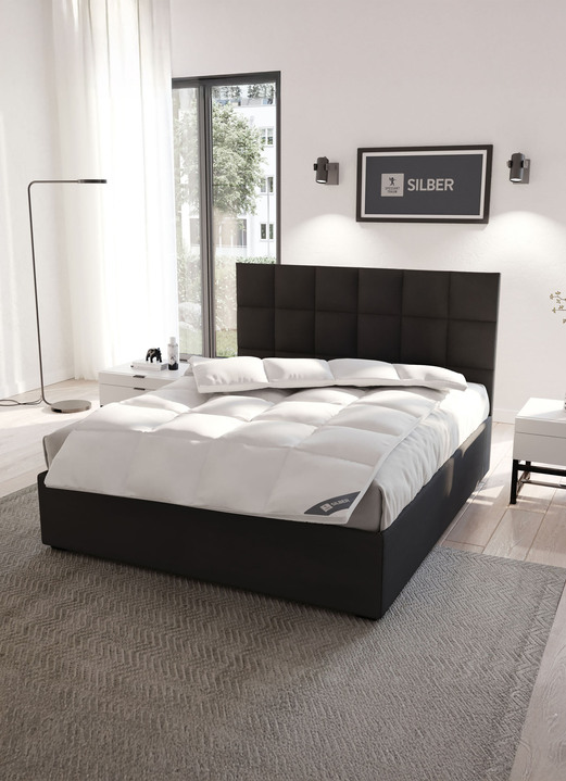 Bettwaren - In Deutschland hergestelltes Daunenprogramm aus dem Hause Spessarttraum Ansicht 25 Bettwaren - In Deutschland hergestelltes Daunenprogramm aus dem Hause Spessarttraum, in Größe 103 (135/200 cm) bis 121 (40/ 80 cm), in Farbe , in Ausführung Blue Kissen Ansicht 25