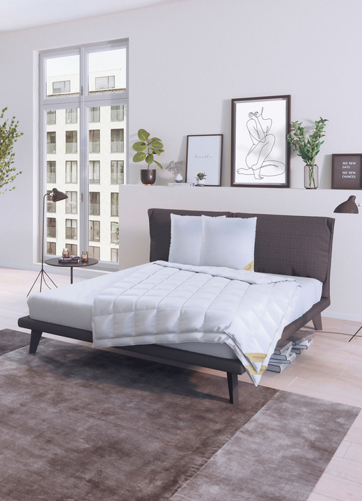 Bettwaren - Bettwarenprogramm in Premiumqualität von Spessarttraum, in Größe 103 (135/200 cm) bis 403 (4-teiliges Sparset, 2x 80/80 cm + 2x 135/200 cm), in Farbe WEISS, in Ausführung EXTRA LEICHT Ansicht 11