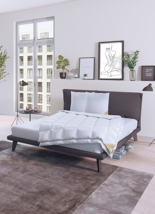 Bettwaren - Bettwarenprogramm in Premiumqualität von Spessarttraum, in Größe 103 (135/200 cm) bis 403 (4-teiliges Sparset, 2x 80/80 cm + 2x 135/200 cm), in Farbe WEISS, in Ausführung EXTRA LEICHT Ansicht 10