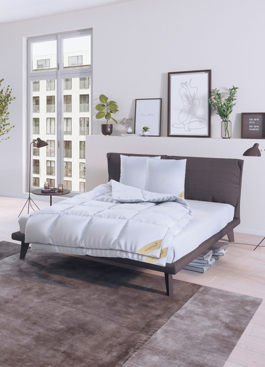 Bettwaren - Bettwarenprogramm in Premiumqualität von Spessarttraum, in Größe 103 (135/200 cm) bis 403 (4-teiliges Sparset, 2x 80/80 cm + 2x 135/200 cm), in Farbe WEISS, in Ausführung EXTRA LEICHT Ansicht 8