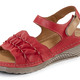 Sandaletten & Pantoletten - Gemini, leichte Damen-Sandalen, Weite G, aus Leder, in Größe 036 bis 042, in Farbe BRAUN – Farbe ROT – Ansicht 1