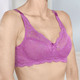Soft-BH - Laurina Zweierpack BH aus zarter Elastikspitze, in Größe 075 bis 105, in Cup B, in Farbe 1X AZALEE, 1X PUDER – Farbe 1X AZALEE, 1X PUDER – Ansicht 1