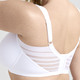 Bügel-BH - Miss Mary BH mit halbtransparenten Einsätzen, in Größe 075 bis 105, in Cup F, in Farbe WEISS – Farbe WEISS – Ansicht 6