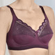 Soft-BH - Laurina Zweierpack BH mit farbharmonischer Elastikspitze, in Größe 075 bis 105, in Cup B, in Farbe 1X BORDEAUX, 1X PUDER – Farbe 1X BORDEAUX, 1X PUDER – Ansicht 1