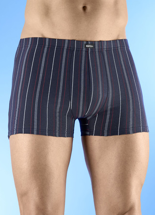 Viererpack Pants mit Streifendessin