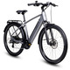 Elektromobilität - E-Trekking-Bike X-Road 5.2 von SAXONETTE, in Farbe SILBER – Farbe SILBER – Ansicht 10