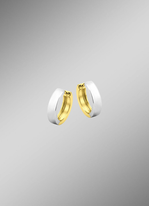 Ohrschmuck - Beidseitig tragbare Klappcreolen in Bicolor, in Farbe  Ansicht 1