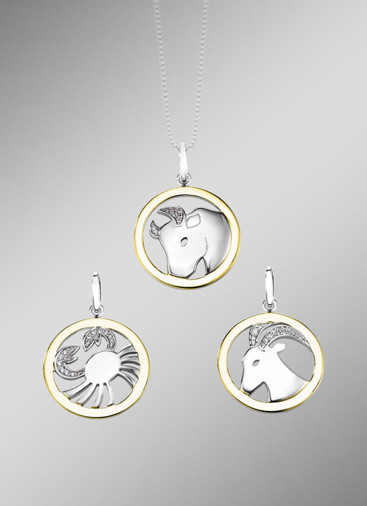 Anhänger - Sternzeichen-Anhänger , in Farbe  Ansicht 1