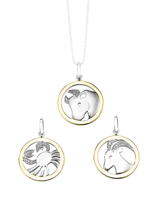 Anhänger - Sternzeichen-Anhänger , in Farbe  Ansicht 2