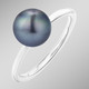 Ringe - Eleganter Damenring mit Tahiti-Zuchtperle, in Größe 160 bis 220, in Farbe  – Ansicht 1
