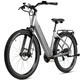 Akku-Zweiräder - E-Bike Comfort SUV Easy von SAXXX, in Farbe SILBER-MATT – Farbe SILBER-MATT – Ansicht 2