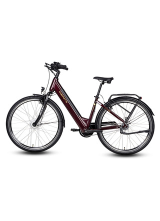 E-Bike Comfort Plus 5.0 von Saxonette