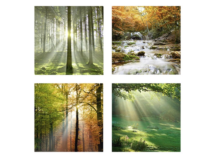 Landschaft - Bilder-Set, 4-teilig, mit Waldmotiven, in Farbe  Ansicht 2