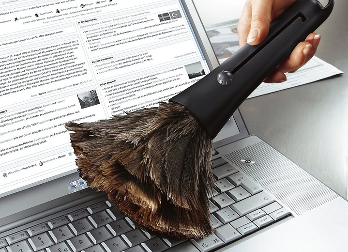 Reinigungshelfer & Reinigungsmittel - Straußenfeder-Staubwedel, in Farbe BRAUN, in Ausführung Staubwedel, klein Ansicht 2