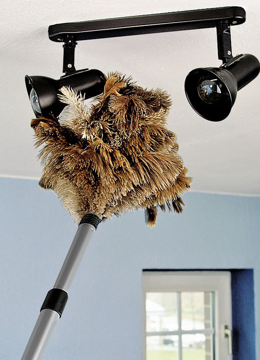 Reinigungshelfer & Reinigungsmittel - Straußenfeder-Staubwedel, in Farbe BRAUN, in Ausführung Staubwedel, klein Ansicht 7