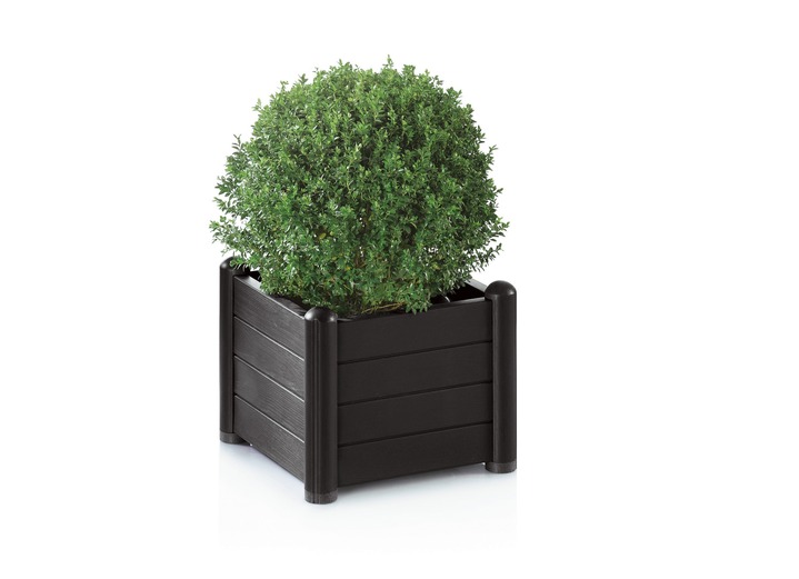 Blumentöpfe und Pflanzgefäße - Pflanzkasten aus wetterbeständigem Kunststoff, in Farbe WEISS, in Ausführung Pflanzkasten klein Ansicht 4