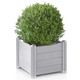 Blumentöpfe und Pflanzgefäße - Pflanzkasten aus wetterbeständigem Kunststoff, in Farbe WEISS, in Ausführung Pflanzkasten klein