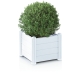 Blumentöpfe und Pflanzgefäße - Pflanzkasten aus wetterbeständigem Kunststoff, in Farbe WEISS, in Ausführung Pflanzkasten klein