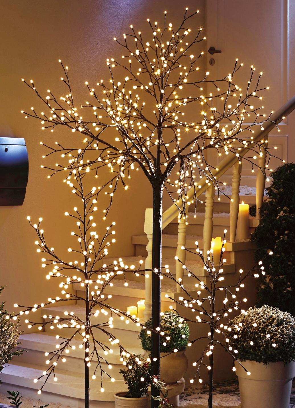 Led Baum Für Draußen 2025 Cloe Penelope