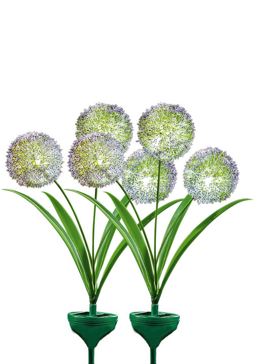 Gartenbeleuchtung - Solarleuchten, 2er-Set, in Farbe GRÜN Ansicht 2