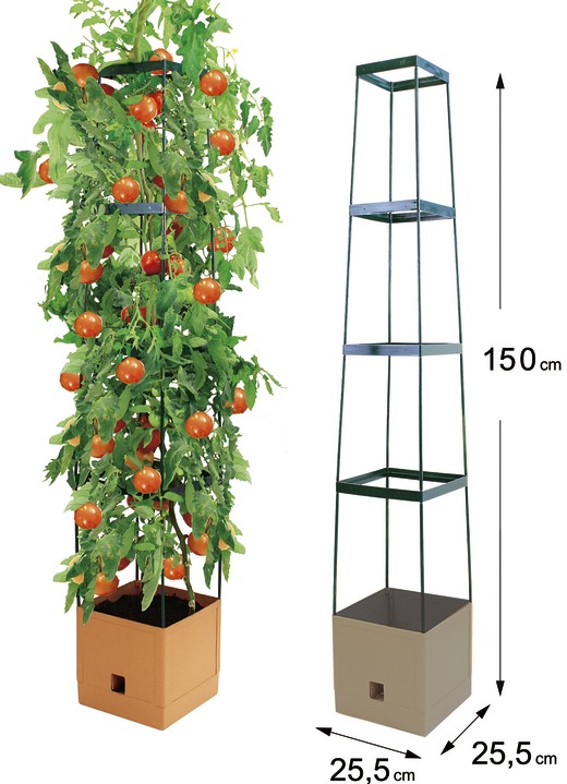 Maxitom Tomaten Rankhilfe Komplett Set Rosamunde Bader