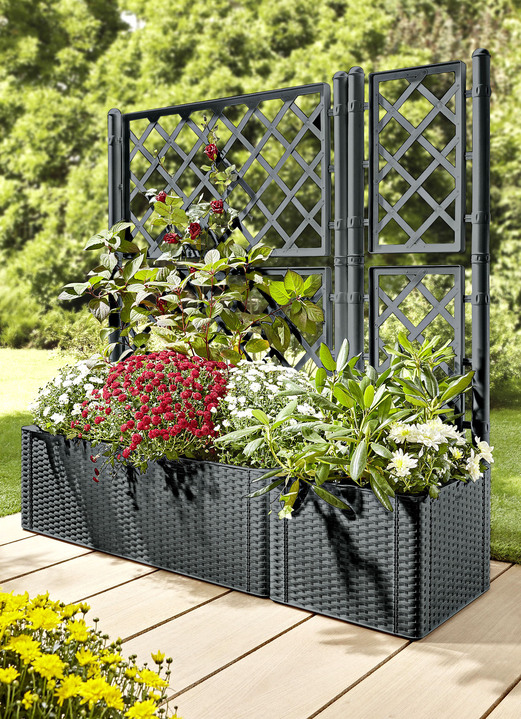 Blumentöpfe und Pflanzgefäße - Pflanzkasten in moderner Rattan-Optik, in Farbe WEISS, in Ausführung Pflanzkasten, klein, ohne Spalierwand Ansicht 4