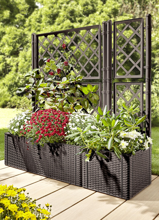 Blumentöpfe und Pflanzgefäße - Pflanzkasten in moderner Rattan-Optik, in Farbe WEISS, in Ausführung Pflanzkasten, klein, ohne Spalierwand Ansicht 5