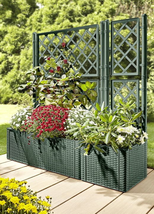 - Pflanzkasten in Rattan-Optik, in Farbe GRÜN, in Ausführung Pflanzkasten, klein ohne Spalierwand Ansicht 2