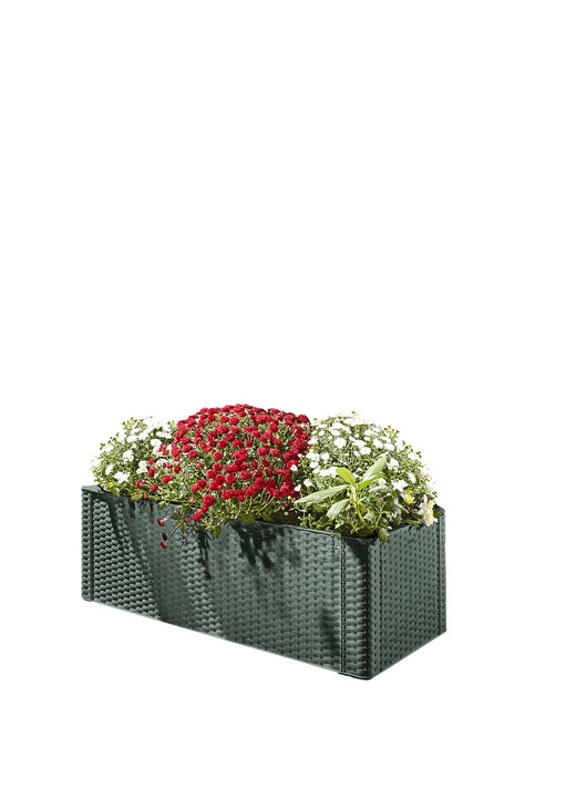 Blumentöpfe & Pflanzgefäße - Pflanzkasten in Rattan-Optik  , in Farbe GRÜN, in Ausführung Pflanzkasten, groß ohne Spalierwand Ansicht 1