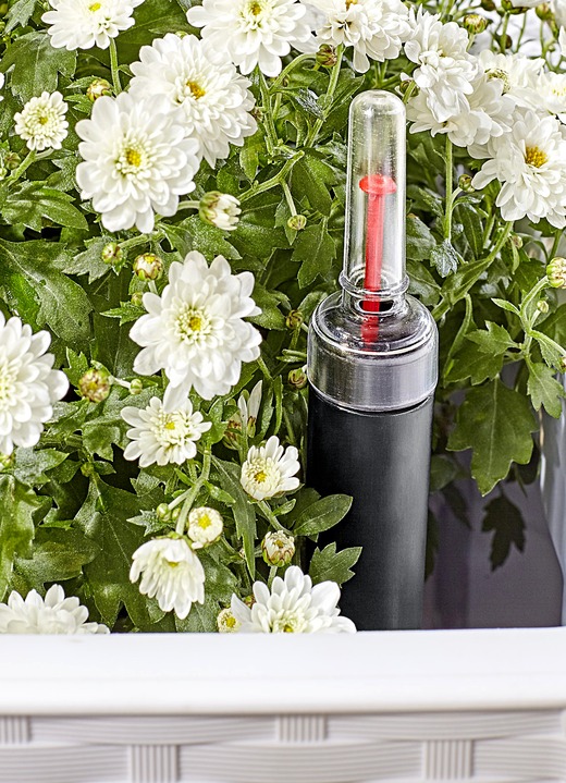 Blumentöpfe und Pflanzgefäße - Pflanzkasten in moderner Rattan-Optik, in Farbe WEISS, in Ausführung Pflanzkasten, klein, ohne Spalierwand Ansicht 2