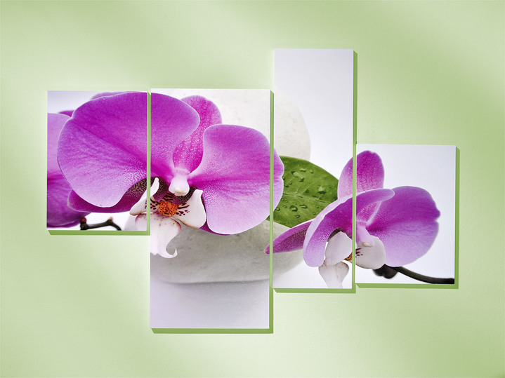 Blumen - Bild  4-teilig, in Farbe WEIß-ROSA