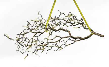 Kunst- & Textilpflanzen - Haselnusszweig aus hochwertigem Kunstmaterial, in Farbe