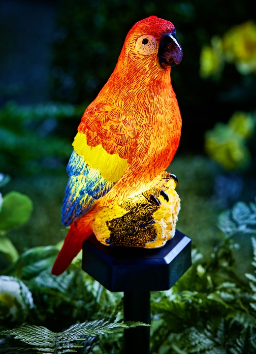 Gartenbeleuchtung - Solar-Papagei mit Erdspieß, in Farbe BUNT