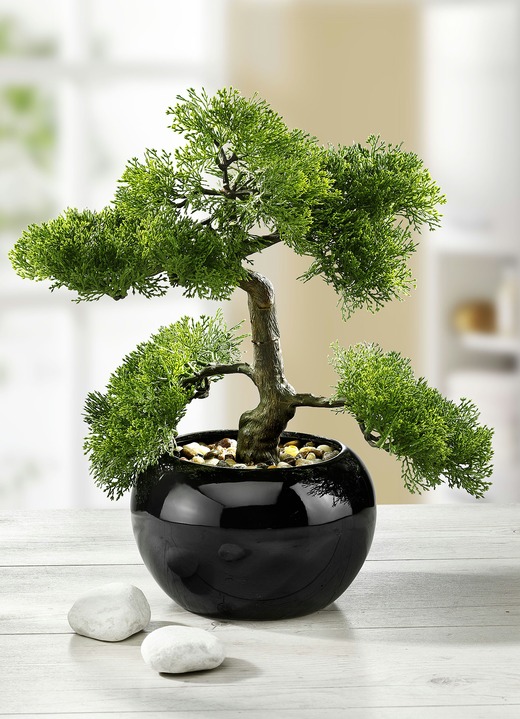 Kunst- & Textilpflanzen - Zypressen-Bonsai im Topf, in Farbe GRÜN