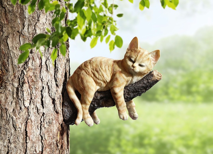 Schlafende Katze Auf Ast