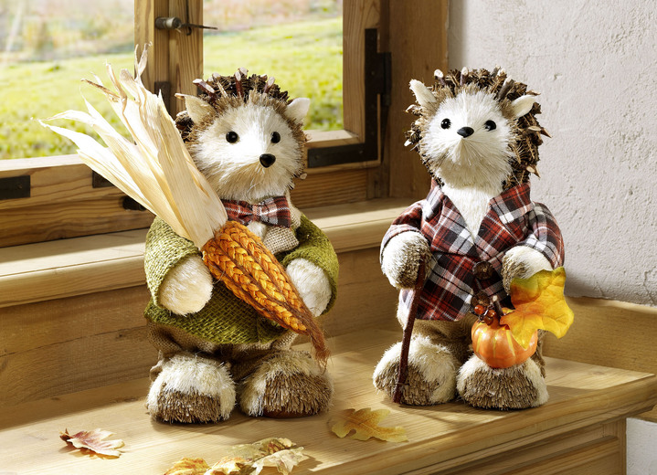 Figuren - Bast-Igel aus Bast, Naturzapfen und Holz, in Farbe BRAUN, in Ausführung Mit Kürbis