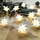 Christbaumschmuck - Batteriebetriebene Lichterkette, 10-flammig, in Farbe WEISS