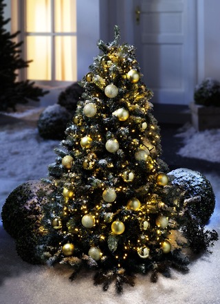 Sale Garten Bader