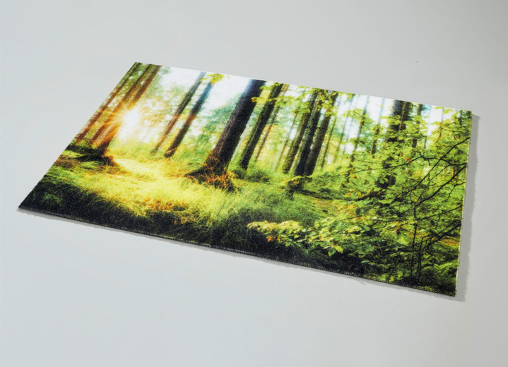 Fußmatten - Fußmatte mit rutschhemmender Rückseite, in Farbe BUNT Ansicht 2