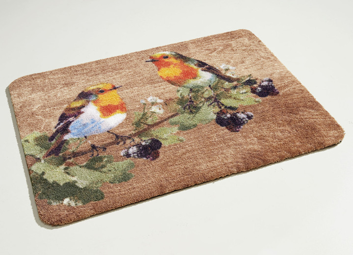 Fußmatten - Fußmatte mit rutschhemmender Rückseite, in Farbe BUNT Ansicht 2