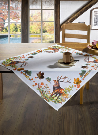 Tischdecken - Bezaubernde naturnahe Accessoires, in Größe 101 (2 Deckchen, 35x 50 cm) bis 404 (Kissenbezug, 40x 40 cm), in Farbe WEISS – Farbe WEISS – Ansicht 