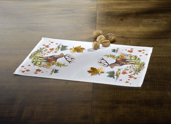 Tischdecken - Bezaubernde naturnahe Accessoires, in Größe 101 (2 Deckchen, 35x 50 cm) bis 404 (Kissenbezug, 40x 40 cm), in Farbe WEISS Ansicht 5