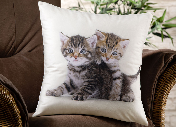 Dekokissen & Hüllen - Kissenbezug mit Kätzchen in Samtoptik, in Farbe BUNT
