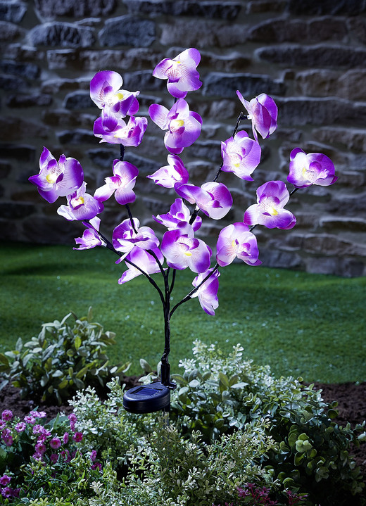 Gartenbeleuchtung - Täuschend echte Solar-Orchidee, in Farbe LILA-WEISS