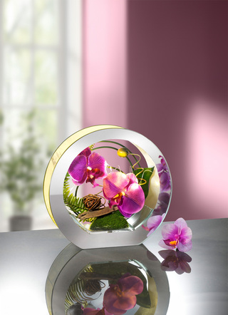 Beleuchtete Orchidee im Glas