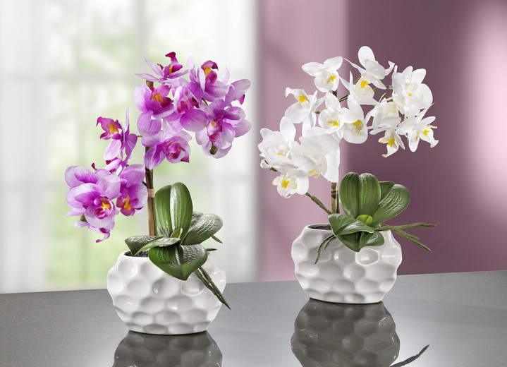 Wohnen - Orchideen-Gesteck in Keramikvase, in Farbe WEISS Ansicht 2