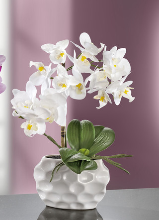 Orchideen-Gesteck in Keramikvase