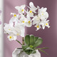 Wohnen - Orchideen-Gesteck in Keramikvase, in Farbe WEISS – Farbe WEISS – Ansicht 1